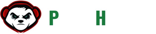 Pandaheadset – China First 7-Day Delivery Headset Factory